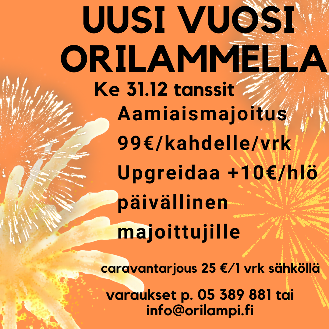 Fireworks Happy New Year Instagram Post